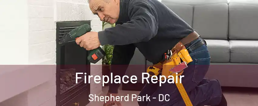 Fireplace Repair Shepherd Park - DC