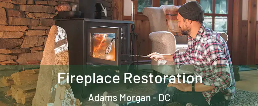 Fireplace Restoration Adams Morgan - DC