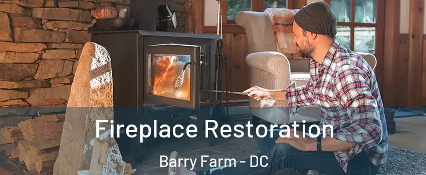 Fireplace Restoration Barry Farm - DC