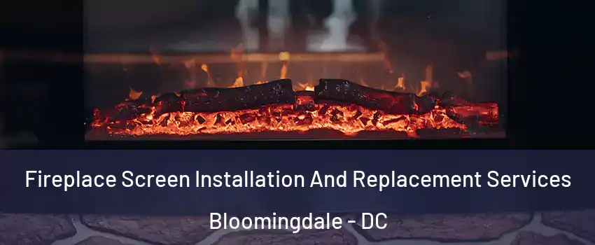 Fireplace Screen Installation And Replacement Services Bloomingdale - DC