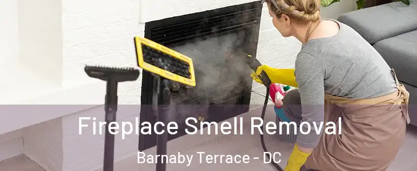 Fireplace Smell Removal Barnaby Terrace - DC