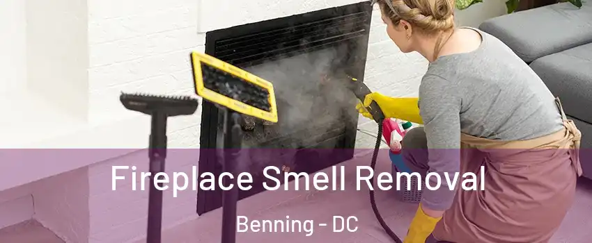 Fireplace Smell Removal Benning - DC