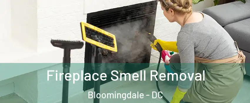 Fireplace Smell Removal Bloomingdale - DC