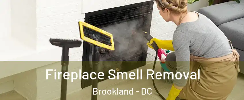 Fireplace Smell Removal Brookland - DC