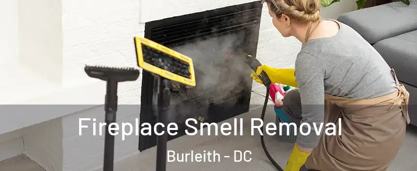 Fireplace Smell Removal Burleith - DC