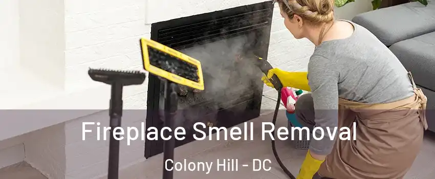 Fireplace Smell Removal Colony Hill - DC