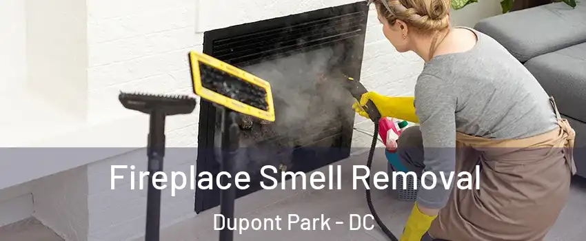 Fireplace Smell Removal Dupont Park - DC