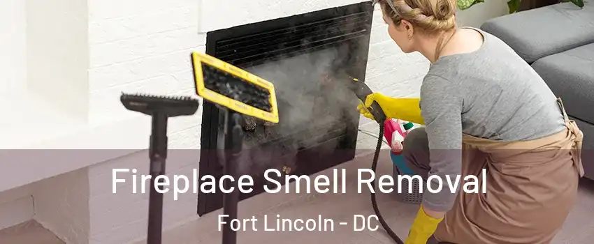 Fireplace Smell Removal Fort Lincoln - DC