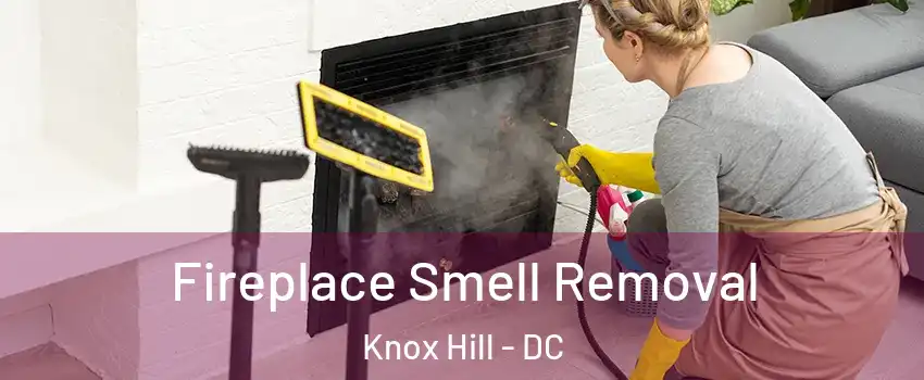 Fireplace Smell Removal Knox Hill - DC