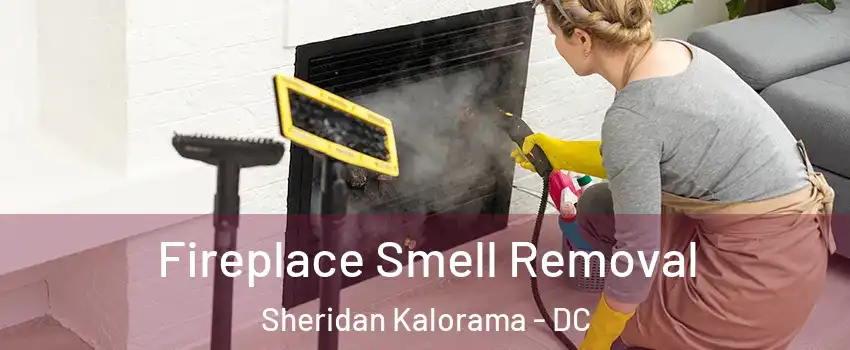 Fireplace Smell Removal Sheridan Kalorama - DC