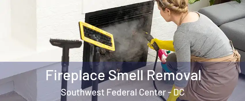 Fireplace Smell Removal Southwest Federal Center - DC