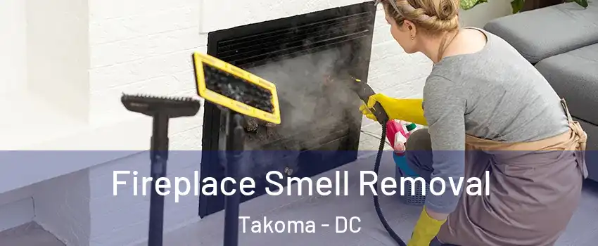 Fireplace Smell Removal Takoma - DC