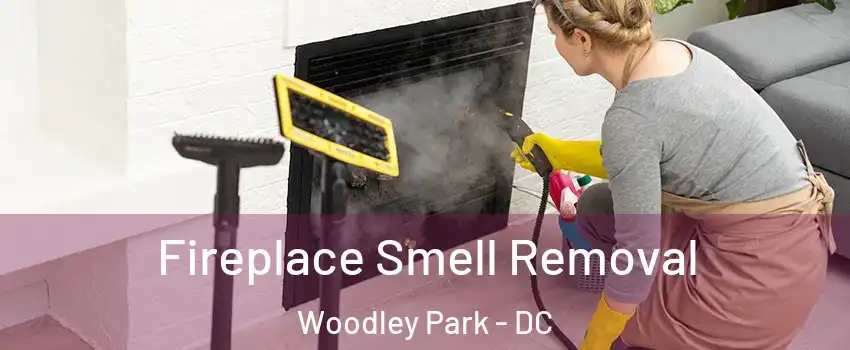 Fireplace Smell Removal Woodley Park - DC