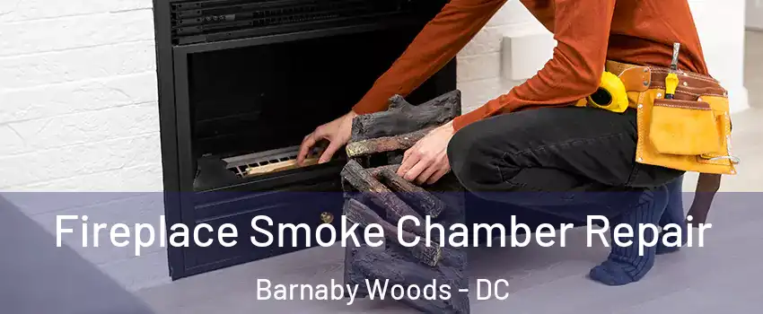 Fireplace Smoke Chamber Repair Barnaby Woods - DC