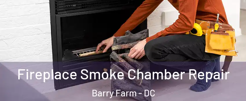 Fireplace Smoke Chamber Repair Barry Farm - DC