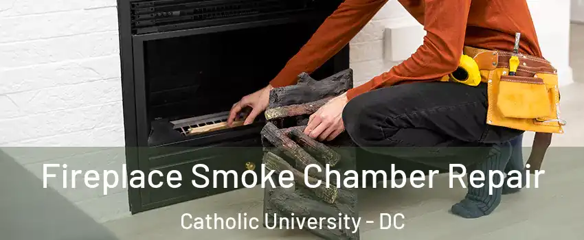 Fireplace Smoke Chamber Repair Catholic University - DC