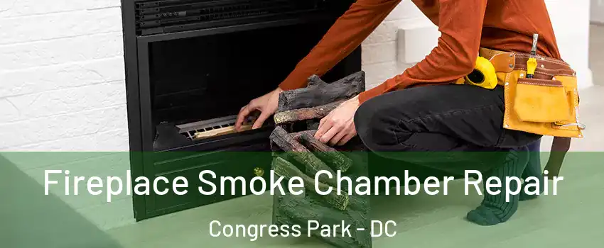 Fireplace Smoke Chamber Repair Congress Park - DC