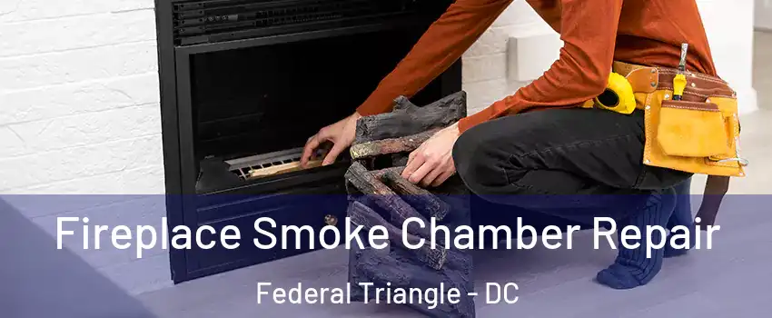 Fireplace Smoke Chamber Repair Federal Triangle - DC