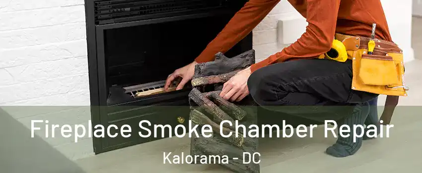 Fireplace Smoke Chamber Repair Kalorama - DC