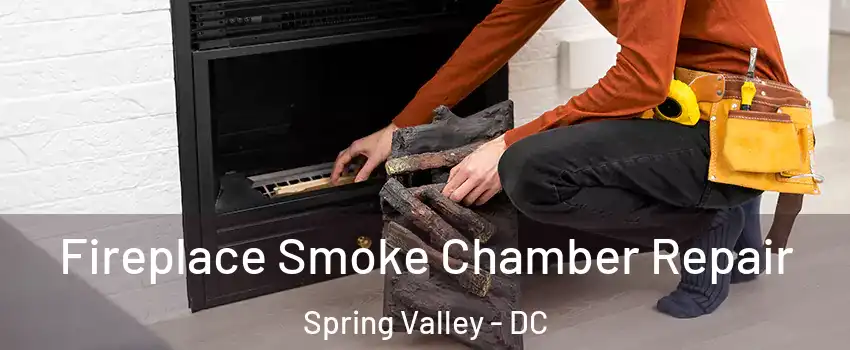 Fireplace Smoke Chamber Repair Spring Valley - DC