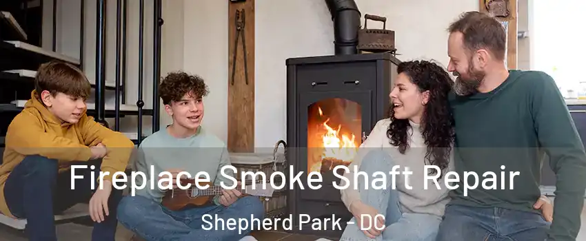 Fireplace Smoke Shaft Repair Shepherd Park - DC