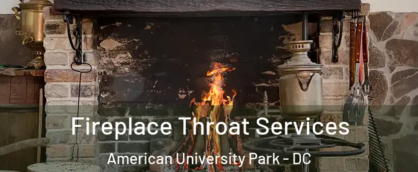 Fireplace Throat Services American University Park - DC