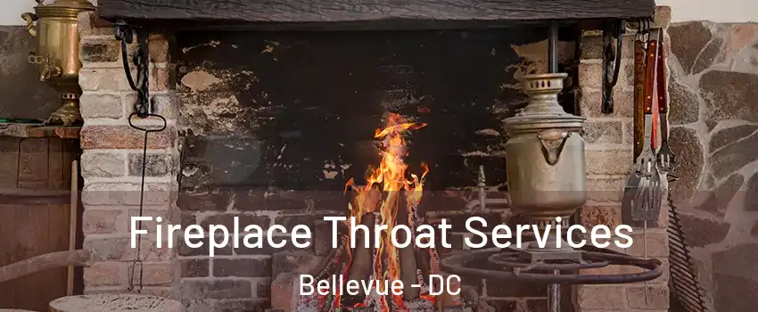 Fireplace Throat Services Bellevue - DC