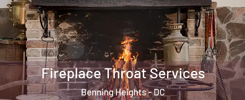 Fireplace Throat Services Benning Heights - DC