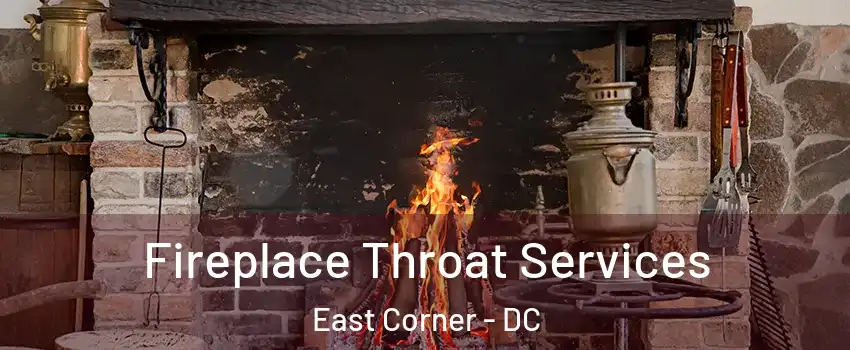 Fireplace Throat Services East Corner - DC