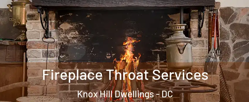 Fireplace Throat Services Knox Hill Dwellings - DC