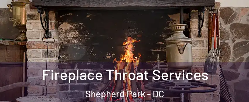 Fireplace Throat Services Shepherd Park - DC