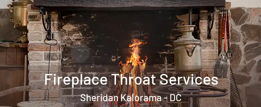 Fireplace Throat Services Sheridan Kalorama - DC