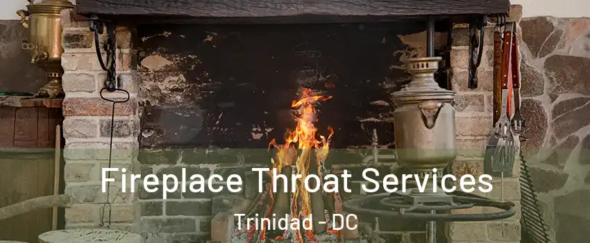 Fireplace Throat Services Trinidad - DC