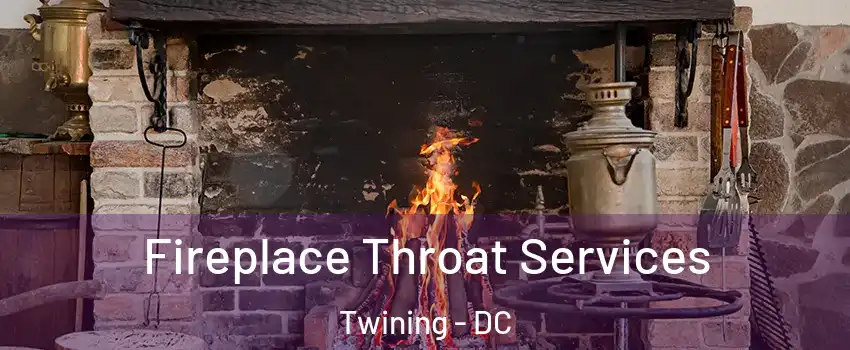 Fireplace Throat Services Twining - DC