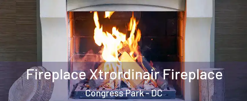 Fireplace Xtrordinair Fireplace Congress Park - DC