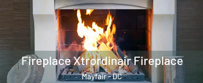 Fireplace Xtrordinair Fireplace Mayfair - DC