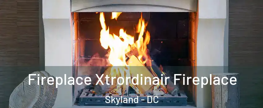 Fireplace Xtrordinair Fireplace Skyland - DC