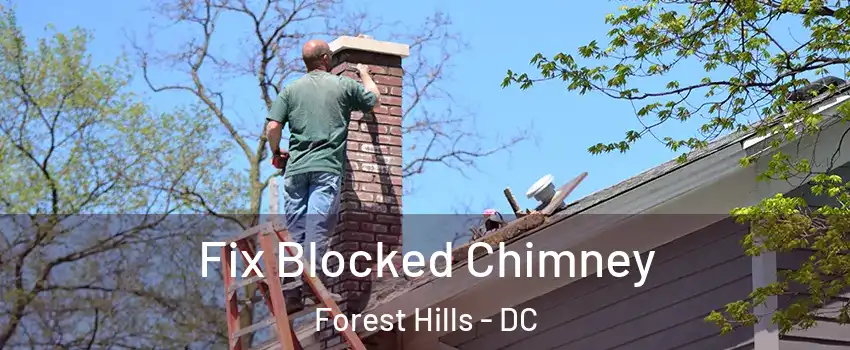 Fix Blocked Chimney Forest Hills - DC