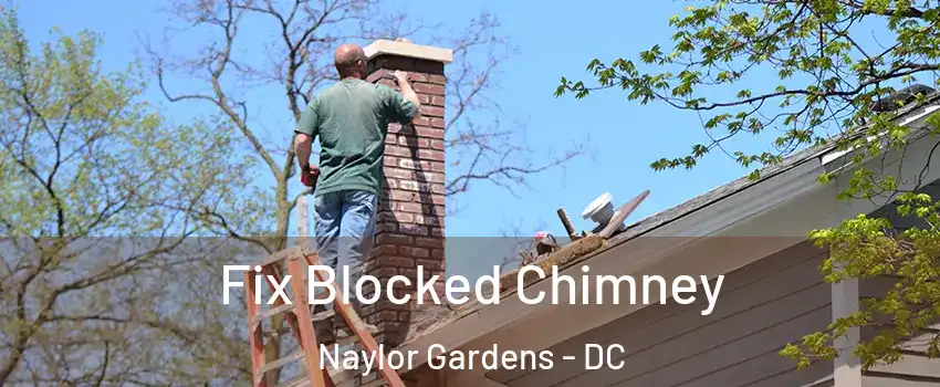 Fix Blocked Chimney Naylor Gardens - DC