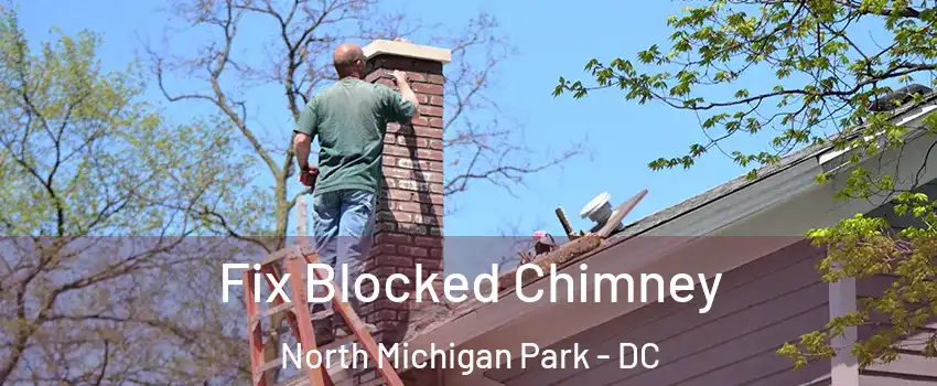 Fix Blocked Chimney North Michigan Park - DC