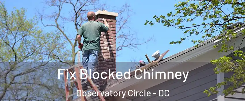 Fix Blocked Chimney Observatory Circle - DC