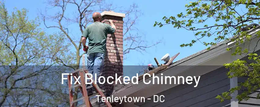 Fix Blocked Chimney Tenleytown - DC