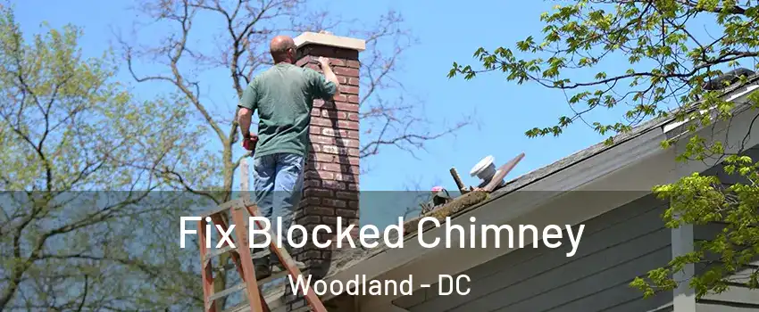 Fix Blocked Chimney Woodland - DC