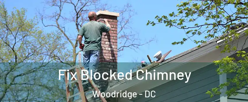 Fix Blocked Chimney Woodridge - DC