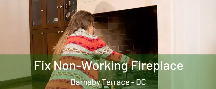 Fix Non-Working Fireplace Barnaby Terrace - DC