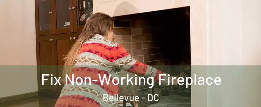 Fix Non-Working Fireplace Bellevue - DC