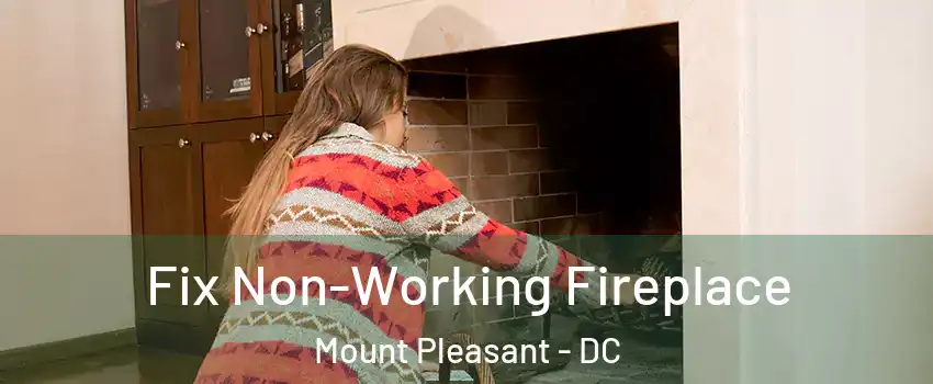 Fix Non-Working Fireplace Mount Pleasant - DC