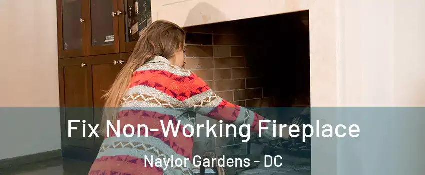 Fix Non-Working Fireplace Naylor Gardens - DC