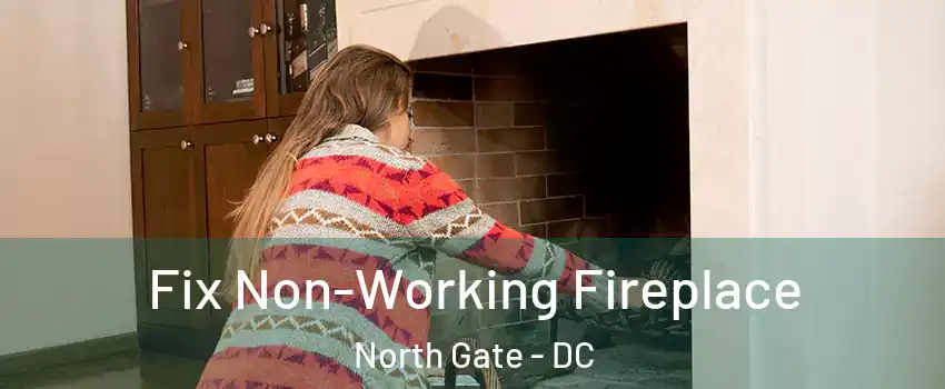 Fix Non-Working Fireplace North Gate - DC