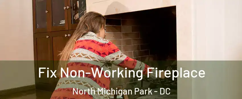 Fix Non-Working Fireplace North Michigan Park - DC